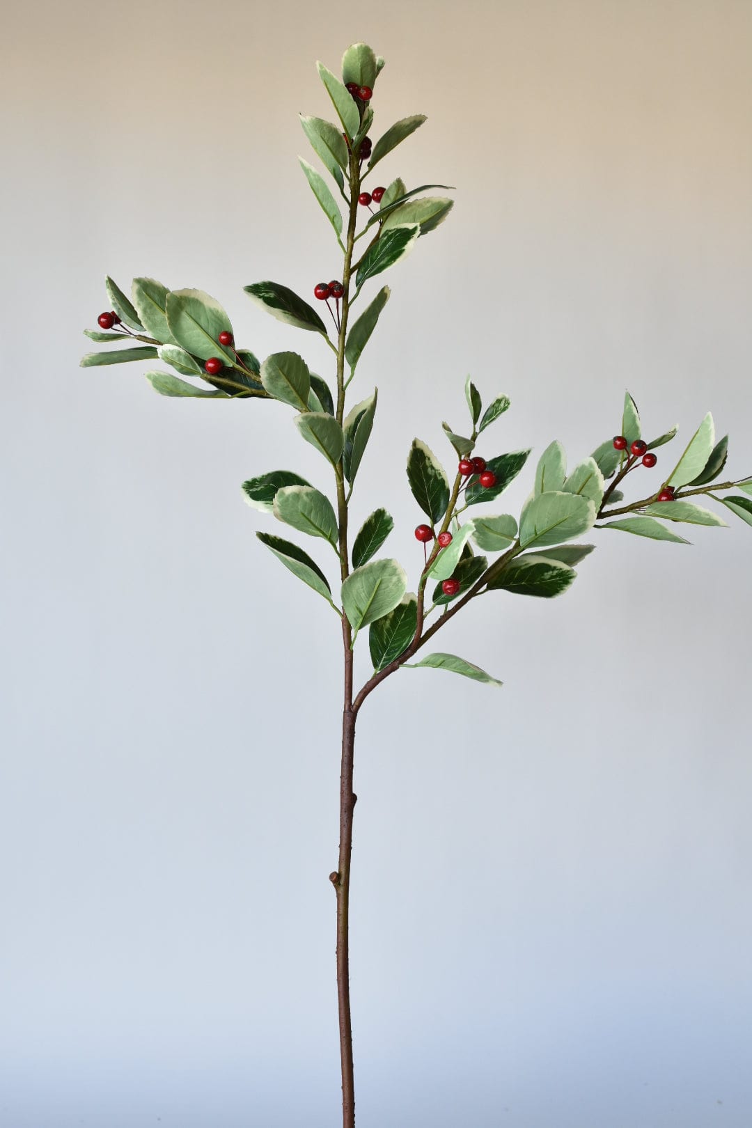 37" Faux Variegated Holly Branch