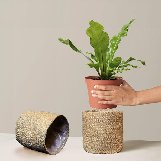Jute Planter Basket Set of 2 Woven Jute Rope Covers for Decorating Indoor Outdoor Succulents Small Plant Pots Multi Purpose Storage Bins 6.5 Inches Modern Style Décor Brown