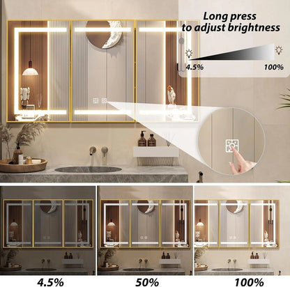HAUSVITA  Lighted Bathroom Medicine Cabinet with Mirror