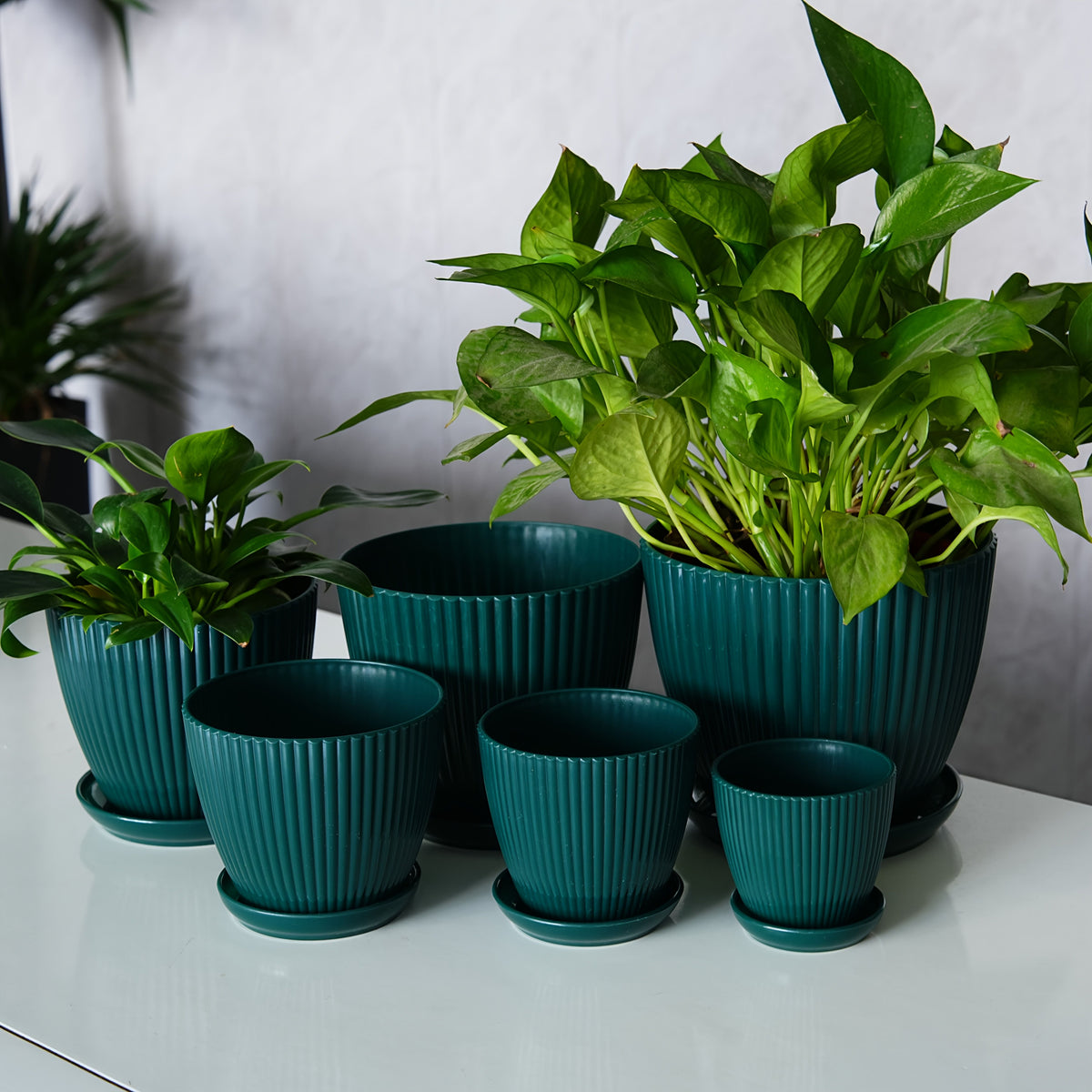 6 Pack Resin Planters Indoor Stackable Assorted Sizes