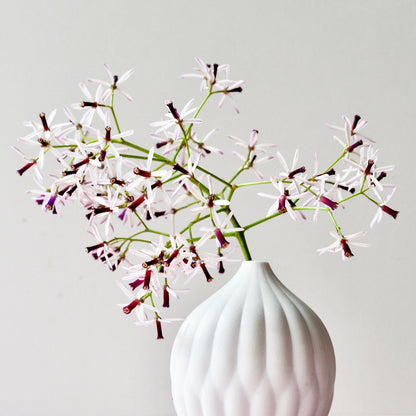 Petite Textured Porcelain Vase