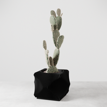 Xenova Planter